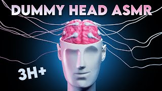 ASMR 360º DUMMY HEAD TRIGGERS The Ultimate 3D Tingle Compilation for Sleep amp Relaxation [upl. by Yellac]