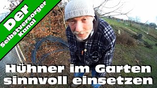 Hühner im Garten sinnvoll einsetzen [upl. by Cirilla]