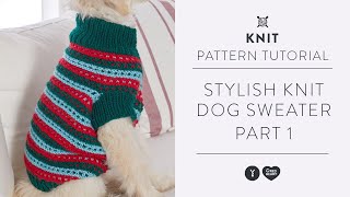 How to Knit a Dog Sweater with Marly Bird  Knitting Tutorial  Part 1 [upl. by Gunilla]