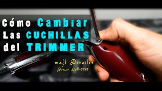 👉 Cambiar CUCHILLAS wahl DETAILER 👈 how to change blade wahl detailer [upl. by Aneehsat]