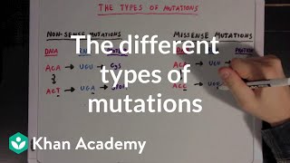 The different types of mutations  Biomolecules  MCAT  Khan Academy [upl. by Haman148]