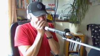 Jean de Florette on Harmonica Stella Artois Theme [upl. by Robet]