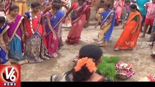 Teej Festival Celebrations In Vemulawada  Rajanna Sircilla District  V6 News [upl. by Malissia952]