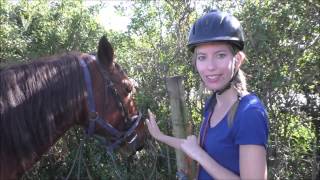 Horseback Riding in Chintsa South Africa [upl. by Sessler686]