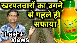 Pendimethalin 30� की पूरी जानकारी  Full information about Pendimethalin  Evergreen world [upl. by Llaccm]