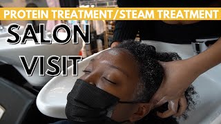 Steam and Protein Treatment  Blow Dry on Natural Hair  Salon Visit [upl. by Phina382]