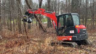 Mulchers for minis FAE BL1EX mulcher head on Kubota KX05705 excavator [upl. by Jariv]