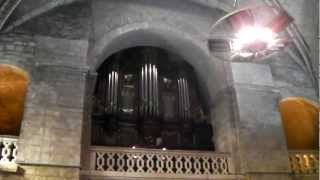 Orgue de léglise SaintJeanBaptiste de Bagnolssur Cèze [upl. by Machos]