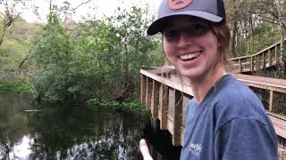 We Saw a MANATEE While Paddle Boarding [upl. by Pals]