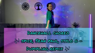 Spice Sean Paul Stylo G  Dumpling Dancehall Choreo [upl. by Eitak455]