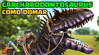 COMO DOMAR O CARCHARODONTOSAURUS  ARK SURVIVAL EVOLVED [upl. by Mcnamee]