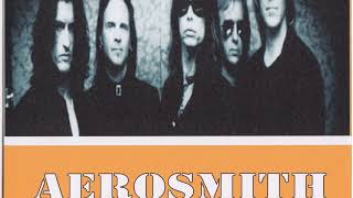 Aerosmith Boston NYE1997 [upl. by Aerdnna]