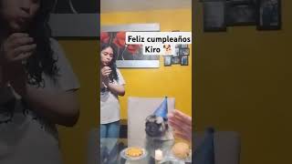 Cumpleaños de Kiro es el engreído de la casa pug mascotas [upl. by Mag]