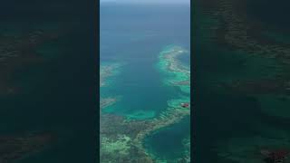 SAS Planet Satellite Reality vs Navionics fiction Click to see Top 10 Tips video sailing [upl. by Whatley500]