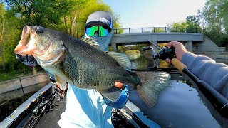 Minnesota Bass Fishing Opener 2024 [upl. by Alit231]