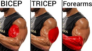 Top 5 Bicep Workout Tricep Workout and Forearm Workout to Build Big Arm  biceps y triceps [upl. by Chamberlain]