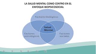 quotClase 9  Red Temática de Salud Mentalquot Salud Mental  HCVB [upl. by Yenitsed307]