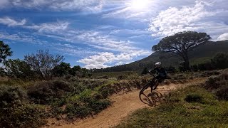 Stellenbosch Tripping  Some Bushes May Have Been Harmed [upl. by Emsmus138]