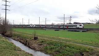 SBB RABe 523 Mouette slow pass by in Bassersdorf [upl. by Asiar]