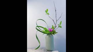 插花꽃 花 flowers beautiful 꽃 floral ikebana 花艺 花藝 florist 勒杜鵑石斑木春蘭葉꽃 gubahan cắm [upl. by Otnas]