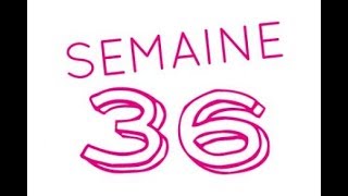 36 semaines de grossesse  38ème semaine d’aménorrhée [upl. by Eekram496]