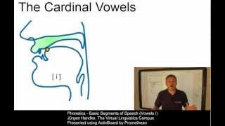 PHO107  Basic Segments of Speech Vowels I [upl. by Lach]