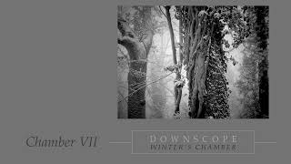 Downscope  Winters Chamber Chamber VII [upl. by Greenstein]