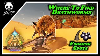 The BEST Location To Find DEATHWORMS In Scorched Earth  Best FARMING Spots  ARK Survival Ascended [upl. by Booth]