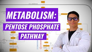 Pentose Phosphate Pathway Ninja Nerd Synthesis [upl. by Hadik]