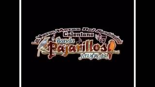 Servando y Modesto  Banda pajarillos musical en vivo 2016 [upl. by Oiratno]