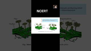 dioecious bryophyte class11 neetexam neetbiology shorts [upl. by Anaitsirk]