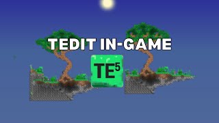 Terraria Hack lets you use TEdit ingame [upl. by Ackler811]