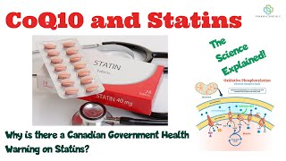 CoQ10 and Statins How atorvastatin amp simvastatin damage your mitochondria by blocking Coenzyme Q10 [upl. by Sapphire70]