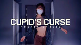 Phora  Cupids Curse  CHAN choreography [upl. by Erskine455]