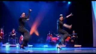 Flamenco Danse Al Andalus Baile Gitano Flamenco Tango Dance Lesson Cours Dance steps One [upl. by Ahseenyt]