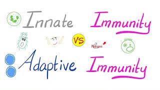 Innate Immunity vs Adaptive Immunity  Complement System  Physiology Lectures Series [upl. by Anivad]