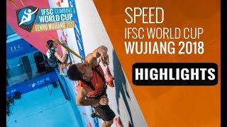 IFSC Climbing World Cup  Wujiang 2018  LeadSpeed  Highlights [upl. by Dunlavy]