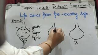 Louis Pasteur Experiment evolution  Origin Of Life12 class [upl. by Eadnus]