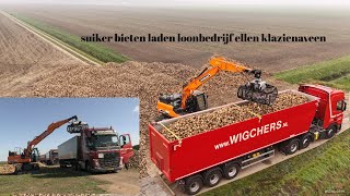 suikerbieten laden loonbedrijf ellen nieuwe develon DX170W7 deel 2 oost Groningen farmers 4k [upl. by Schreck336]