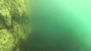 Wrasse Fishing with Underwater Camera Footage at Holyhead Breakwater Wales UK part 1 of 3 [upl. by Padraig]