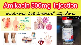 amikacin 500mg injection in telugu  uses sideeffects dosedosage  unimika500mg injection [upl. by Clemens297]