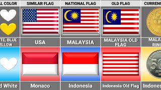 Malaysia vs Indonesia  Country Comparison [upl. by Susann]