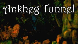 Ankheg Tunnel   Medieval Fantasy DampD Ambience [upl. by Llerrahs]