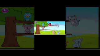 Birdscatsraccoon cartoons and fun games with colourful animals kids fun viral cartoon [upl. by Anita]