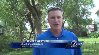 Winds topple trees in Fremont [upl. by Boggs]