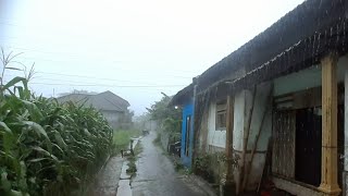 Heavy Rain  Walking in the rainy in beatiful mountain village very risk [upl. by Osbert]