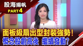 何謂面板扇出型封裝 FOPLP將取代FOWLP 轉機題材護航東捷 Q2營收年增5倍 EPS 024元│202410264股海揚帆陳斯寧 白易弘ustvbiz [upl. by Ummersen]