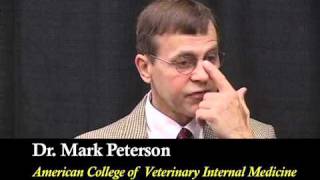 Dr Mark E Peterson Interviewed About Hyperthyroidism in Cats [upl. by Iahk]