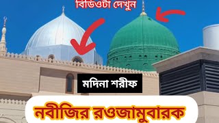 নবীজির রওজা শরীফ  রাসুলের রওজা মোবারক  Reazul Jannah  Nabijis Rawza Mubarak  masjidnabawi 2024 [upl. by Eanrahc]