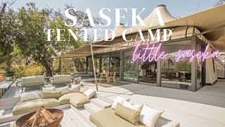 ULTRA LUXURIOUS Tented Camp in Kruger National Park  FULL TOUR [upl. by Matthias]